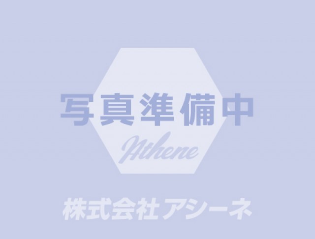 日野 プロフィア トラクタヘッド 令和02年式 ｜画像1