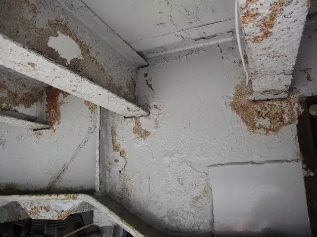 平成14年09月中古その他日本フルハーフフルハーフの画像33