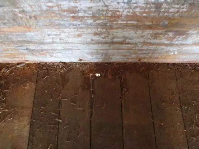 平成08年04月中古その他国内・その他富士の画像44