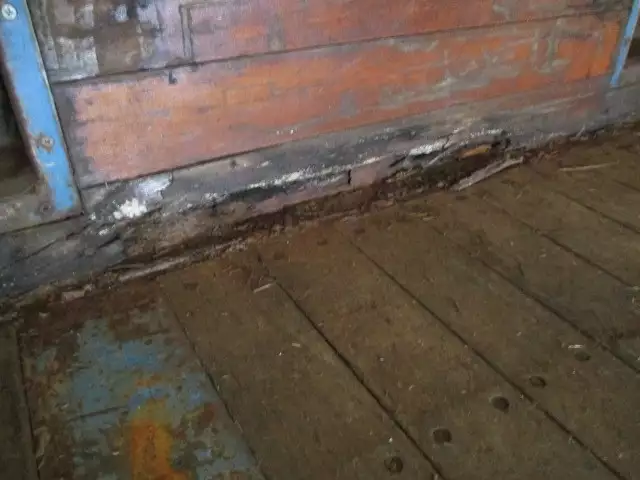 平成16年10月中古その他日本フルハーフフルハーフの画像51