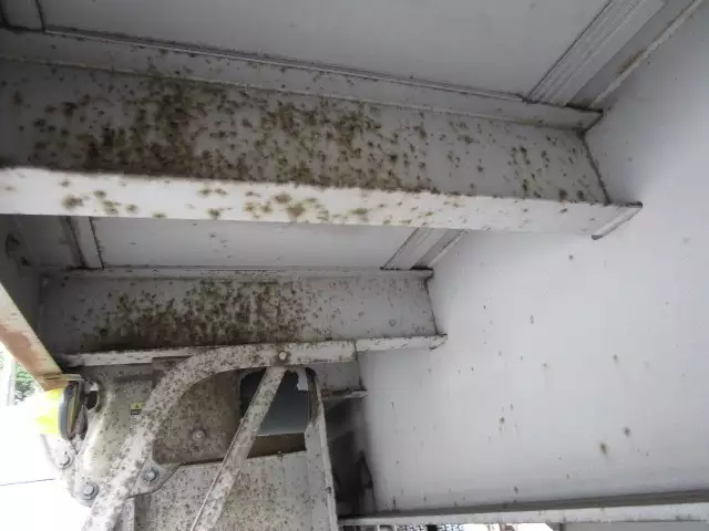 平成19年06月中古その他日本フルハーフフルハーフの画像24