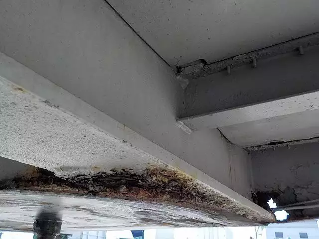 平成09年09月中古その他ユソーキユソーキの画像11