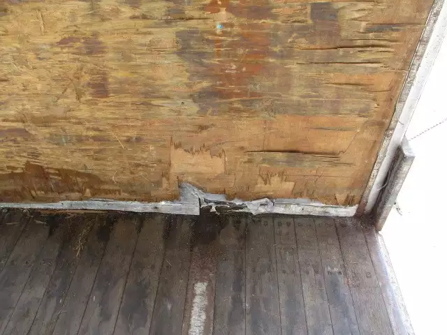 平成03年09月中古その他日本フルハーフフルハーフの画像50