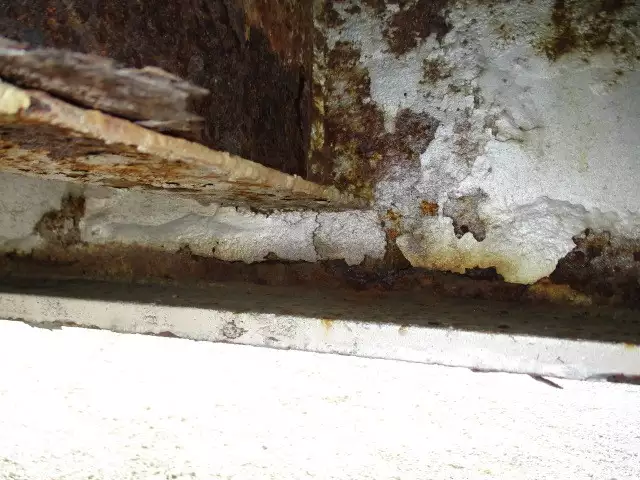 平成08年05月中古その他トレールモービルトレールモービルの画像17