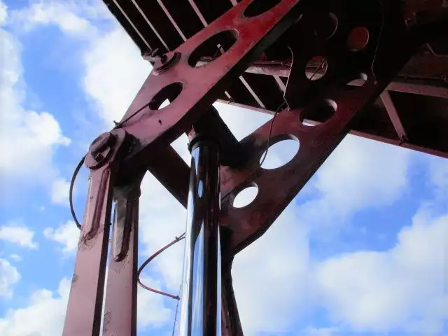 平成28年08月中古その他国内・その他コダイラの画像33