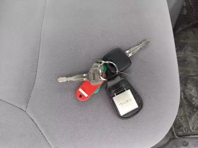 平成29年04月中古小型冷凍バン・ウィングいすゞいすゞの画像25