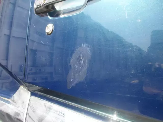 平成25年10月中古大型トラクタヘッド三菱ふそうスーパーグレートの画像58