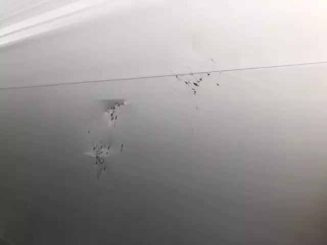 平成25年04月中古その他バントレーラー・ウィングトレーラー日本フルハーフフルハーフの画像59