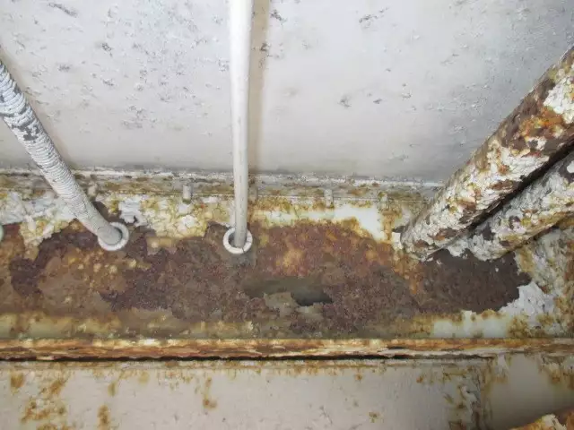 平成09年11月中古その他日本フルハーフフルハーフの画像19