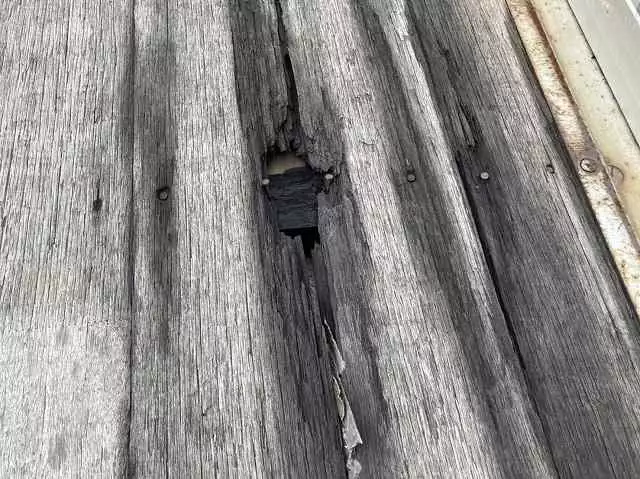 平成18年11月中古増トンいすゞいすゞの画像28