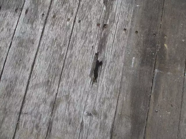 平成23年02月中古大型日産UDクオンの画像17