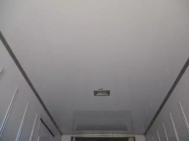 平成29年03月中古小型冷凍バン・ウィング日野日野の画像31