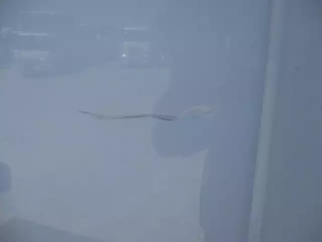 平成29年09月中古小型冷凍バン・ウィング日野デュトロの画像59