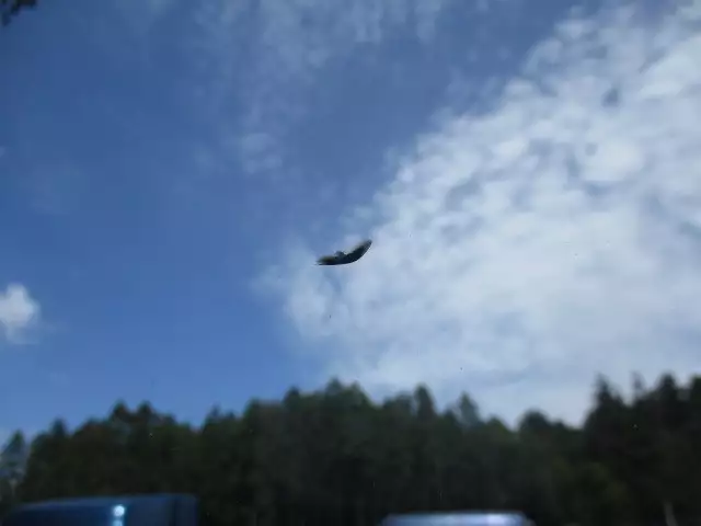 平成18年09月中古大型トラクタヘッド日野プロフィアの画像51