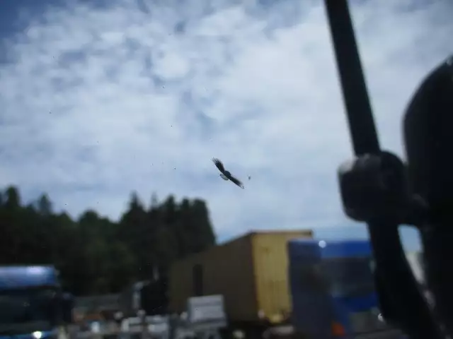 平成18年09月中古大型トラクタヘッド日野プロフィアの画像52