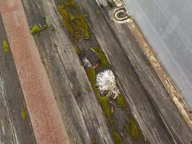 昭和63年09月中古その他トレールモービルトレールモービルの画像23