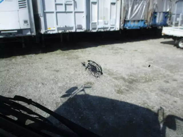 平成26年01月中古増トンいすゞいすゞの画像53