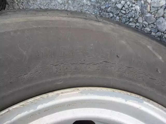 平成30年09月中古その他コンテナシャーシートレクストレクスの画像32