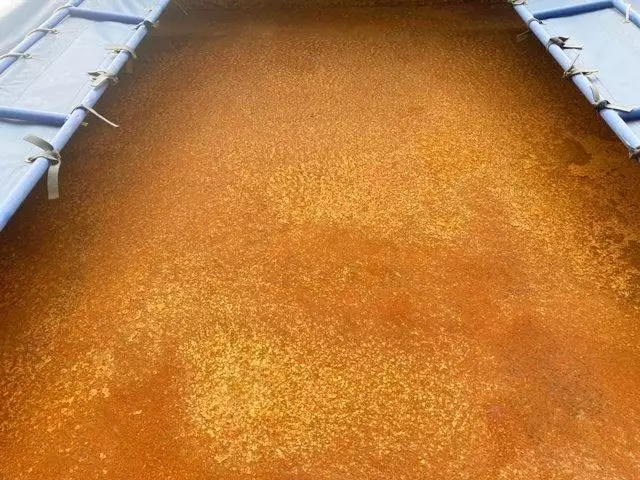 平成25年08月中古中型いすゞフォワードの画像16