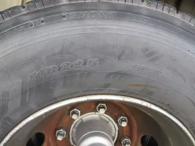 平成17年08月中古その他日本フルハーフフルハーフの画像17