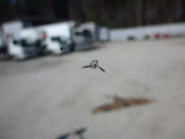 令和02年01月中古中型三菱ふそうファイターの画像37