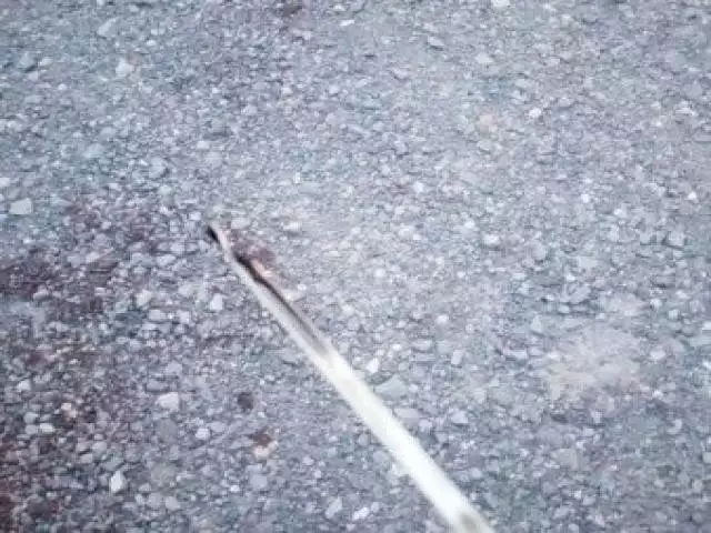 平成27年03月中古中型日野レンジャーの画像9