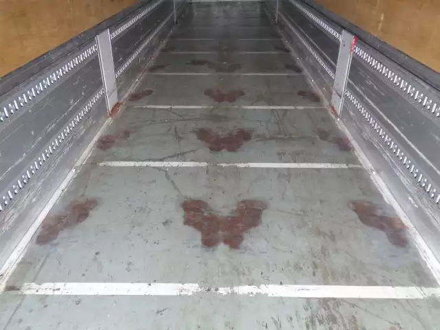 平成29年09月中古その他バントレーラー・ウィングトレーラートレクストレクスの画像18