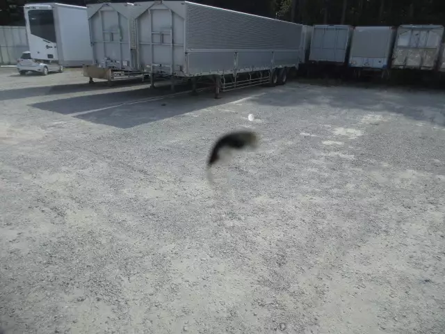 令和01年/平成31年03月中古大型トラクタヘッドスカニアスカニアの画像44