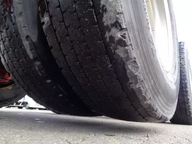 令和01年/平成31年06月中古その他コンテナシャーシートレクストレクスの画像28