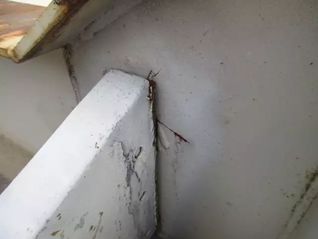 平成22年02月中古その他コンテナシャーシー東急東急の画像22