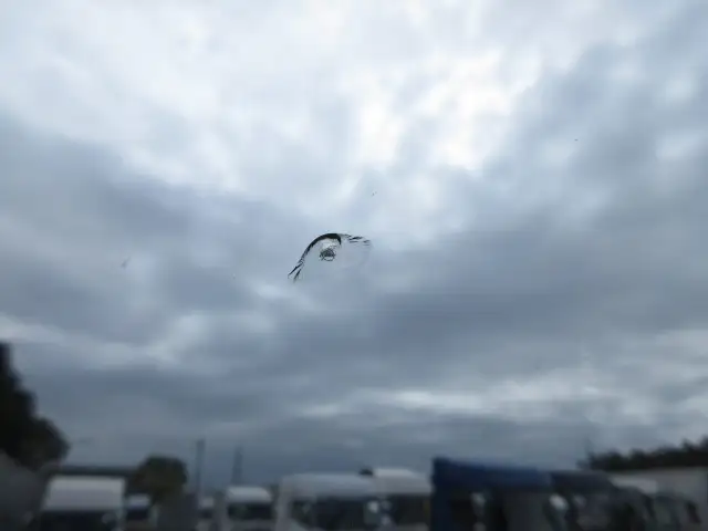 令和01年/平成31年05月中古大型トラクタヘッド日野プロフィアの画像41