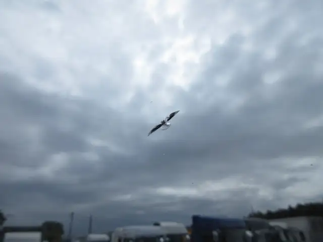 令和01年/平成31年05月中古大型トラクタヘッド日野プロフィアの画像42