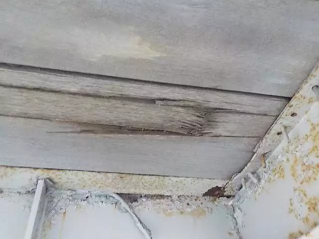 平成07年07月中古その他日本フルハーフフルハーフの画像15