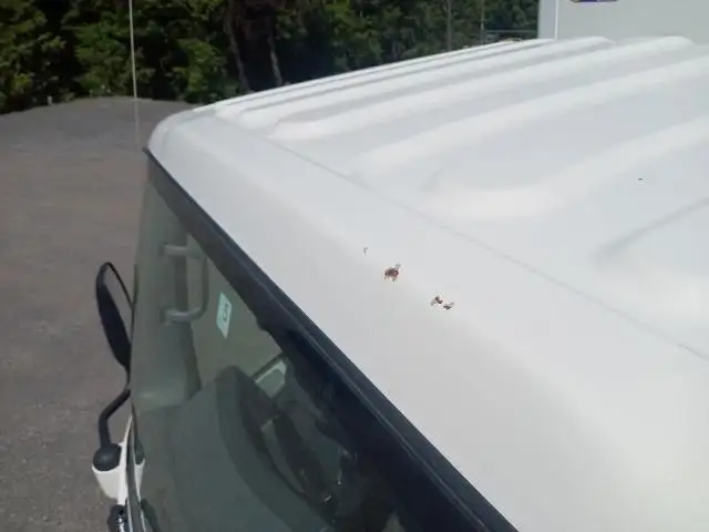 平成24年03月中古小型冷凍バン・ウィングいすゞエルフの画像12