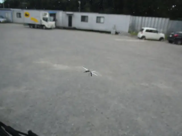 平成28年06月中古大型トラクタヘッド日野プロフィアの画像56