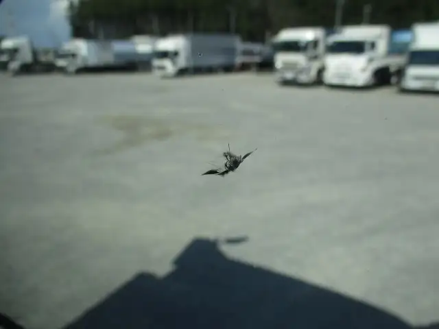 平成27年02月中古大型冷凍バン・ウィング三菱ふそうスーパーグレートの画像48