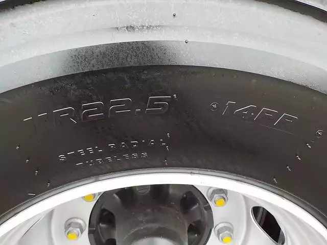 令和01年/平成31年00月中古その他日本フルハーフフルハーフの画像23