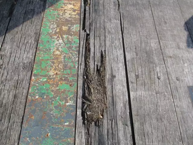 平成10年07月中古その他東急東急の画像17