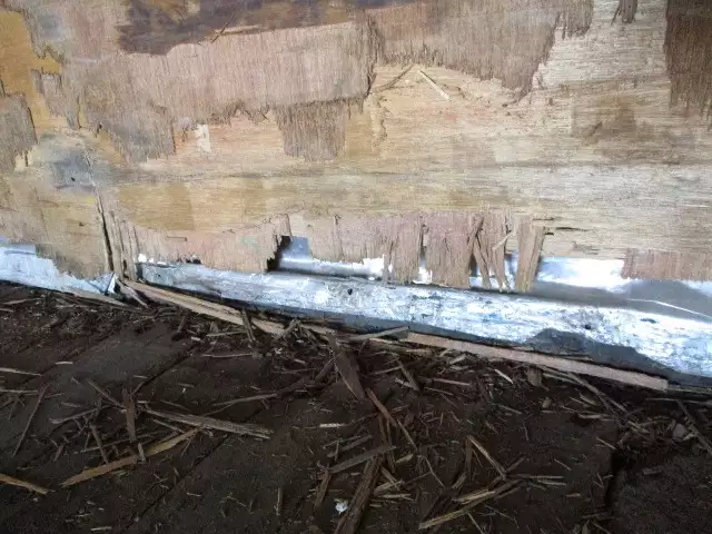 平成03年09月中古その他日本フルハーフフルハーフの画像42