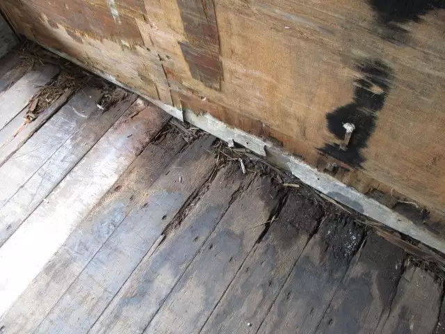 平成05年07月中古その他国内・その他富士の画像10