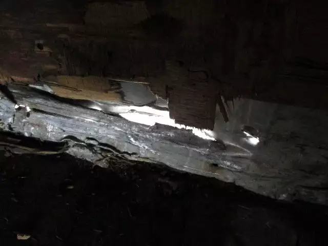 平成03年10月中古その他日本フルハーフフルハーフの画像41