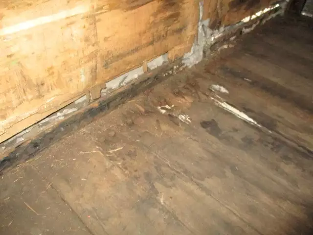 平成03年10月中古その他日本フルハーフフルハーフの画像42