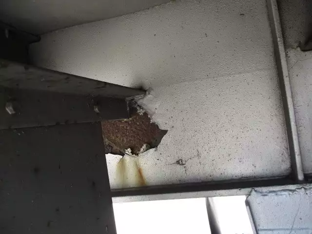 平成03年10月中古その他日本フルハーフフルハーフの画像37