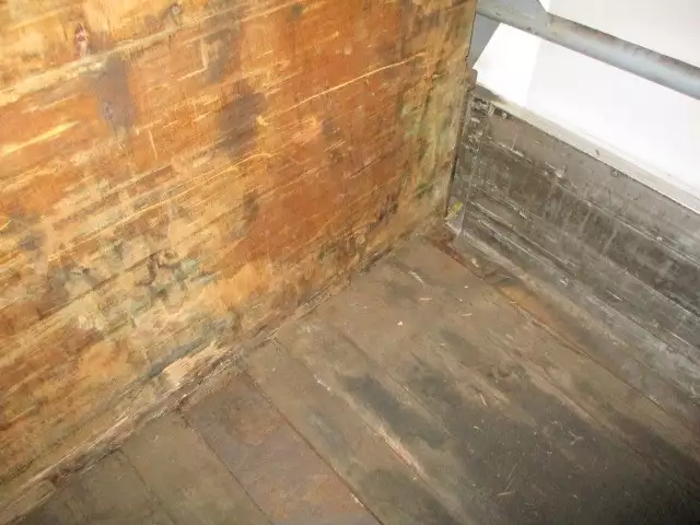 平成08年07月中古その他国内・その他富士の画像13