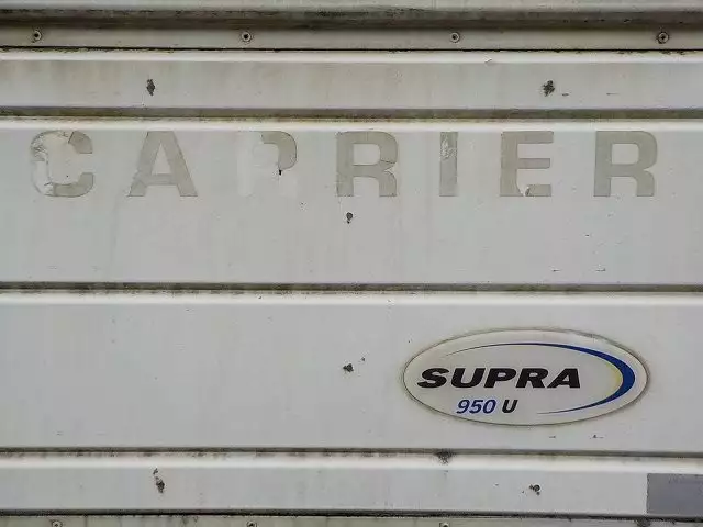 平成20年01月中古大型冷凍バン・ウィング日野日野の画像43