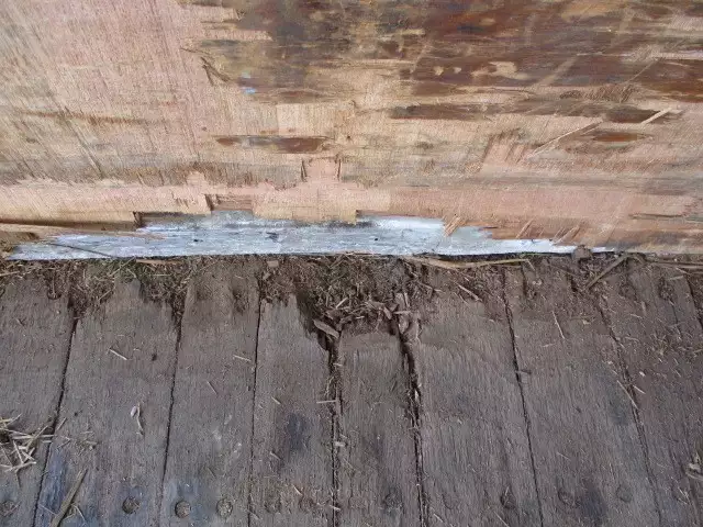 平成03年09月中古その他日本フルハーフフルハーフの画像47