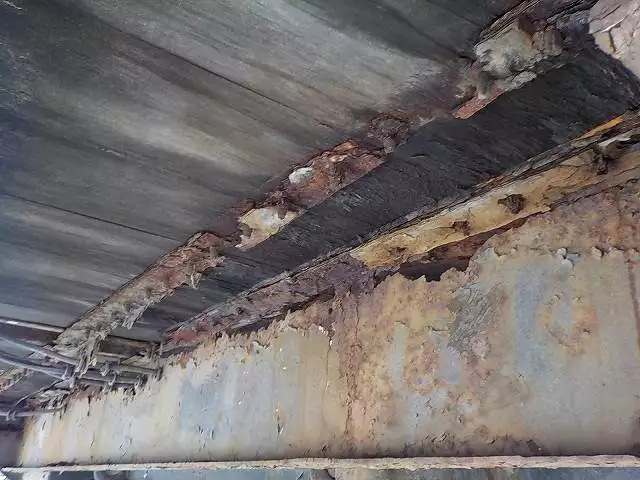 平成01年11月中古その他日本フルハーフフルハーフの画像18