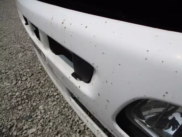 平成28年11月中古中型冷凍バン・ウィング日野日野の画像8