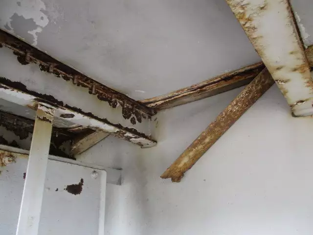 平成15年11月中古その他東急東急の画像24